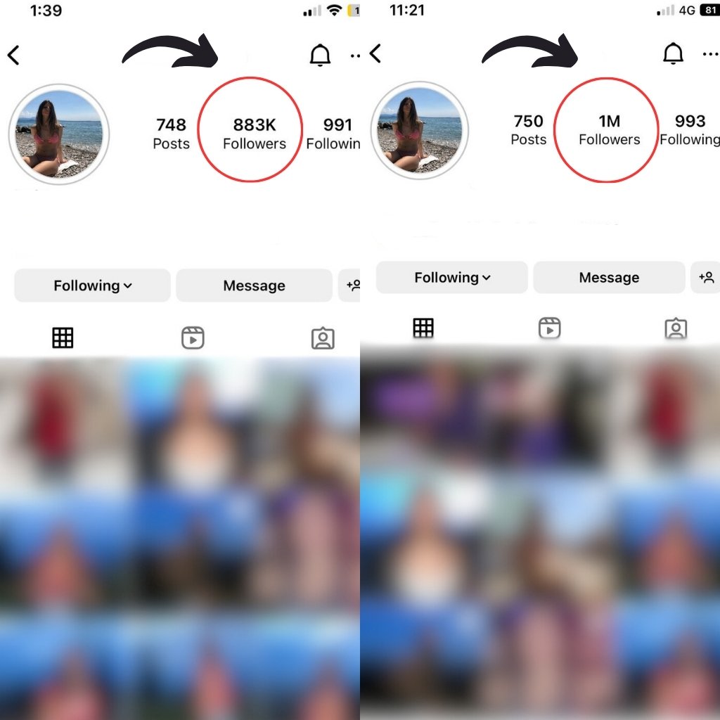 Untitled design (23)